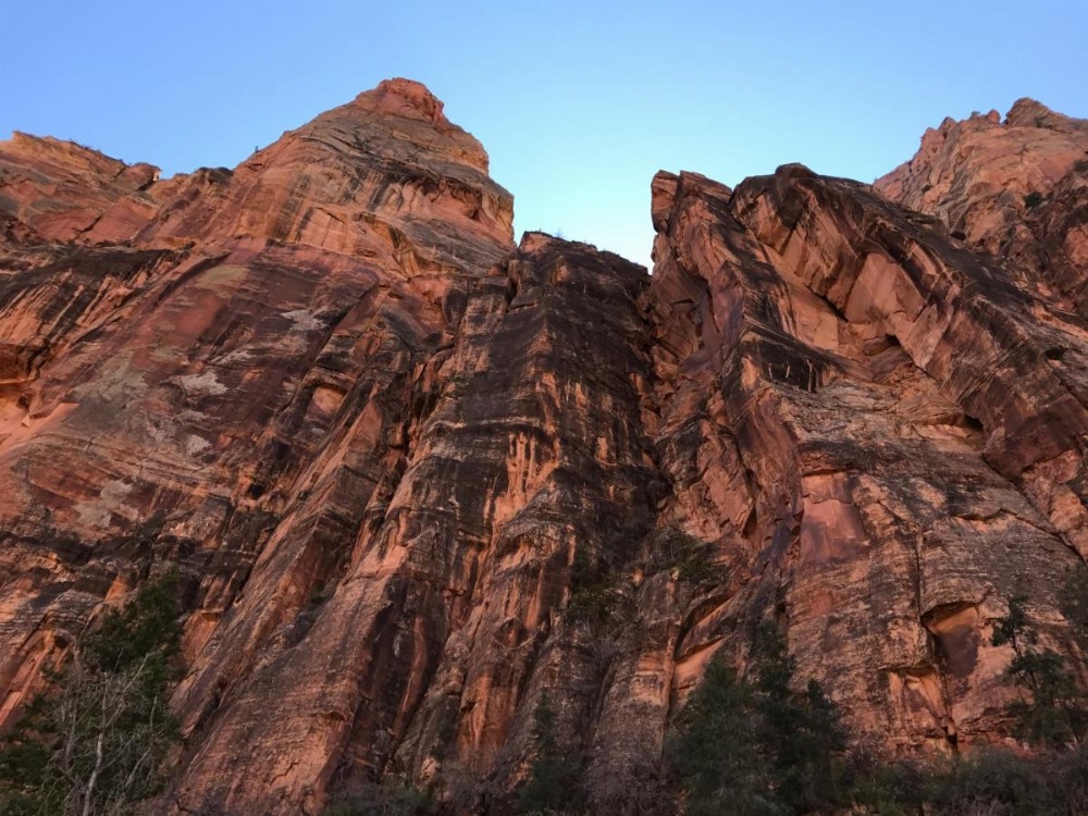 Amid Summer's Inn Bed and Breakfast